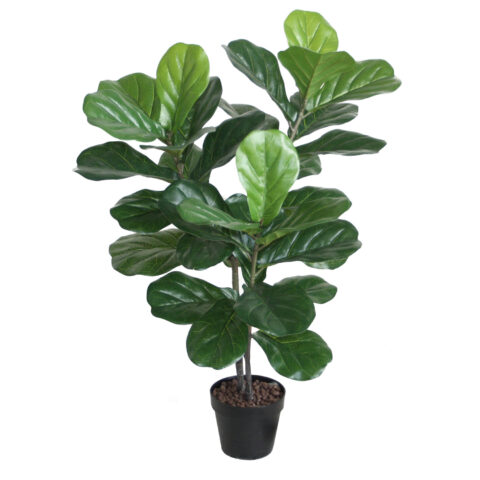 Kunstpuu FIDDLE LEAF, H100cm, 2 tüvega, must pott Kunstlilled ja kunsttaimed Kunstlilled ja kunsttaimed