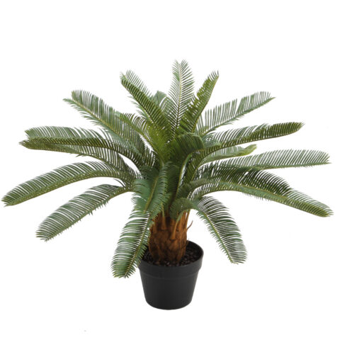 Kunsttaim CYCAS, H70cm, palmlehik, must pott Kunstlilled ja kunsttaimed Kunstlilled ja kunsttaimed