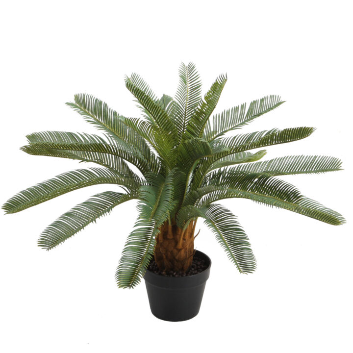 Kunsttaim CYCAS, H70cm, palmlehik, must pott Kunstlilled ja kunsttaimed Kunstlilled ja kunsttaimed