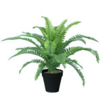 Kunsttaim BOSTON FERN, H45cm, sõnajalg, must pott Kunstlilled ja kunsttaimed Kunstlilled ja kunsttaimed