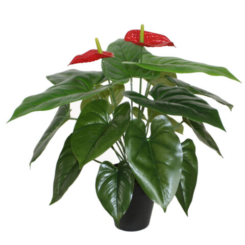 Kunsttaim ANTHURIUM, H45cm, flamingolill, must pott Kunstlilled ja kunsttaimed Kunstlilled ja kunsttaimed