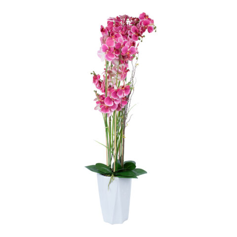 Orhidee GARDEN QUEEN H132cm, roosa Kunstlilled ja kunsttaimed Kunstlilled ja kunsttaimed