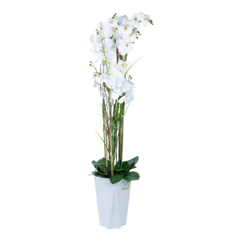 Orhidee GARDEN QUEEN H132cm, valge Kunstlilled ja kunsttaimed Kunstlilled ja kunsttaimed