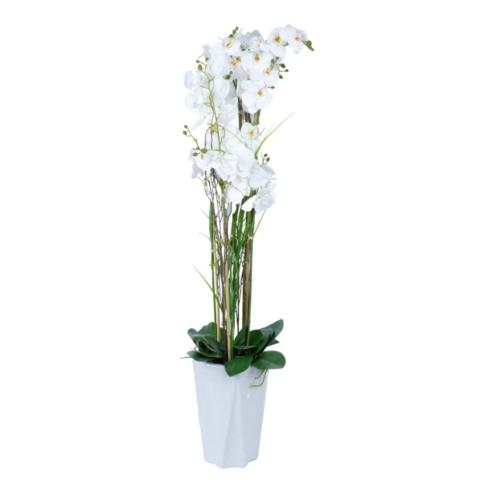 Orhidee GARDEN QUEEN H132cm, valge Kunstlilled ja kunsttaimed Kunstlilled ja kunsttaimed