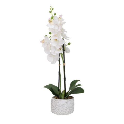 Orhidee GARDEN QUEEN H40cm, valge Kunstlilled ja kunsttaimed Kunstlilled ja kunsttaimed