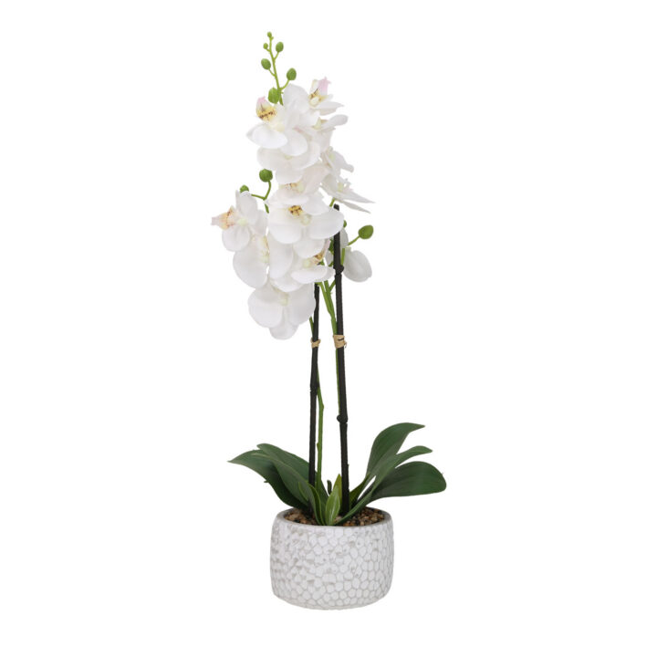 Orhidee GARDEN QUEEN H40cm, valge Kunstlilled ja kunsttaimed Kunstlilled ja kunsttaimed