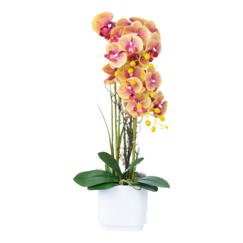 Orhidee GARDEN QUEEN H65cm, kollane Kunstlilled ja kunsttaimed Kunstlilled ja kunsttaimed