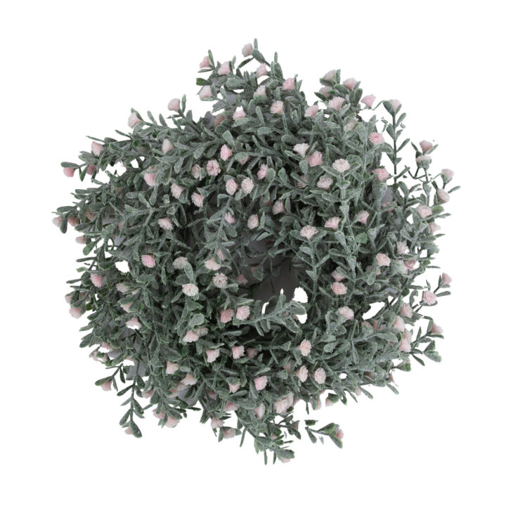 Pärg FLOWERLY D24cm, roosad õied Kunstlilled ja kunsttaimed Kunstlilled ja kunsttaimed