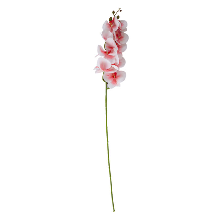 Orhidee FLOWERLY H94cm, heleroosa Kingiideed Kingiideed