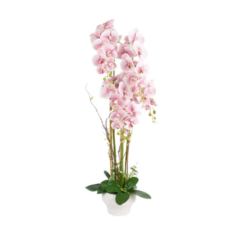 Orhidee GARDEN QUEEN H124cm, heleroosa Kunstlilled ja kunsttaimed Kunstlilled ja kunsttaimed