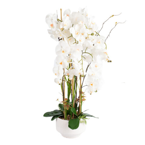 Orhidee GARDEN QUEEN H102cm, valge Kunstlilled ja kunsttaimed Kunstlilled ja kunsttaimed