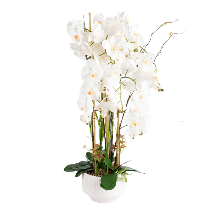 Orhidee GARDEN QUEEN H102cm, valge Kunstlilled ja kunsttaimed Kunstlilled ja kunsttaimed