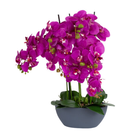 Orhidee GARDEN QUEEN H64cm, tumeroosa Kunstlilled ja kunsttaimed Kunstlilled ja kunsttaimed
