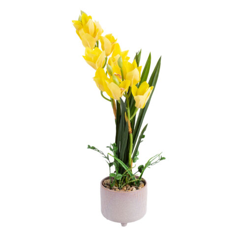 Orhidee GARDEN QUEEN H70cm, kollane Kunstlilled ja kunsttaimed Kunstlilled ja kunsttaimed