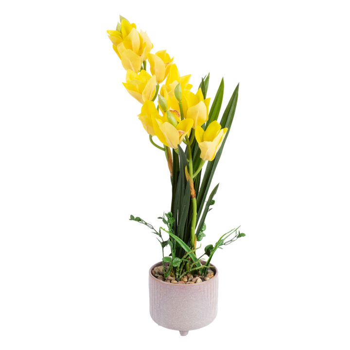 Orhidee GARDEN QUEEN H70cm, kollane Kunstlilled ja kunsttaimed Kunstlilled ja kunsttaimed