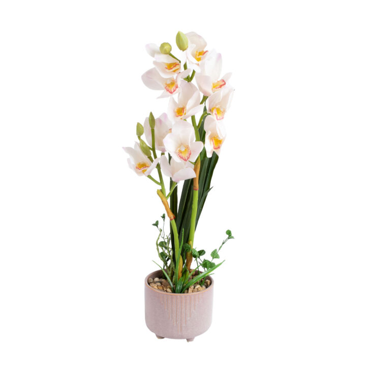 Orhidee GARDEN QUEEN H70cm, valge Kunstlilled ja kunsttaimed Kunstlilled ja kunsttaimed