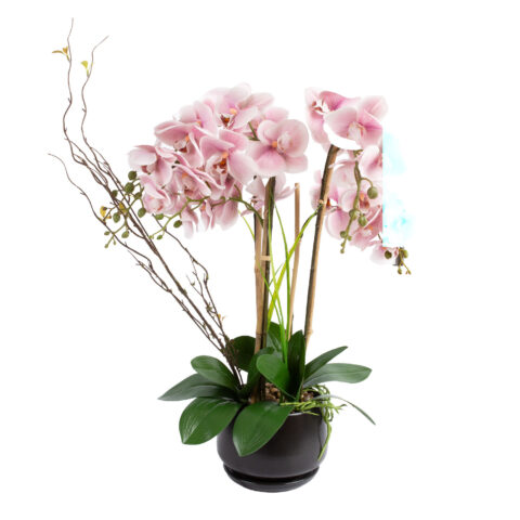 Orhidee GARDEN QUEEN H68cm, heleroosa Kunstlilled ja kunsttaimed Kunstlilled ja kunsttaimed