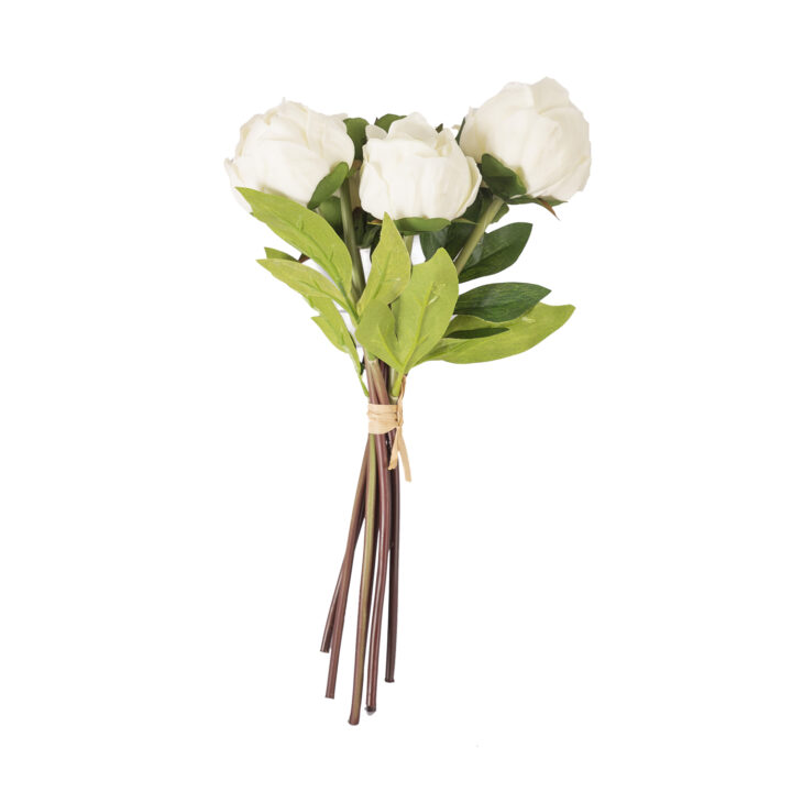 Pojengikimp 7x IN GARDEN, H30cm, valge Kingiideed Kingiideed