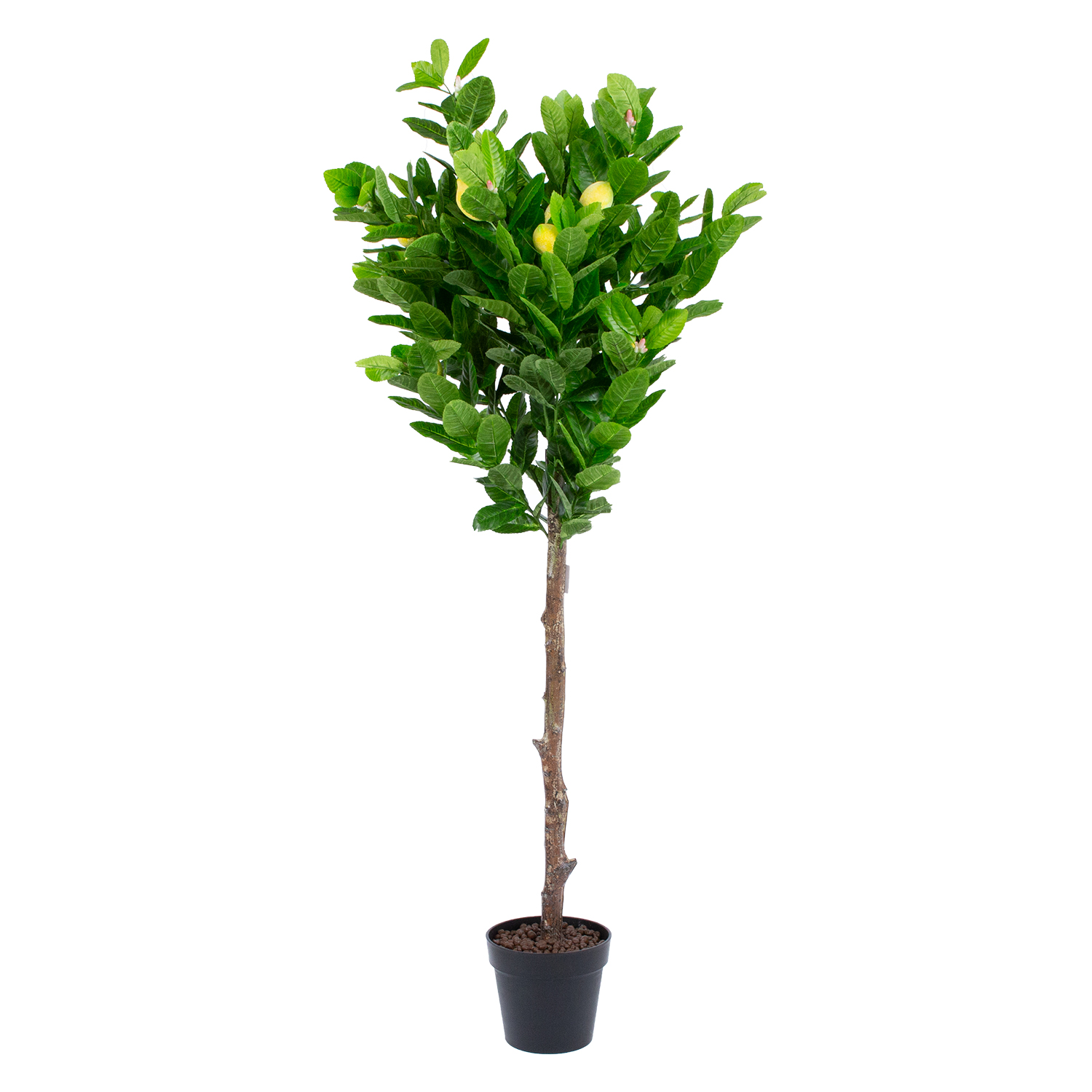 Kunstpuu LEMON, H145cm, sidrunipuu, must pott Kunstlilled ja kunsttaimed Kunstlilled ja kunsttaimed Kunstpuu LEMON, H145cm, sidrunipuu, must pott Kunstlilled ja kunsttaimed Kunstlilled ja kunsttaimed
