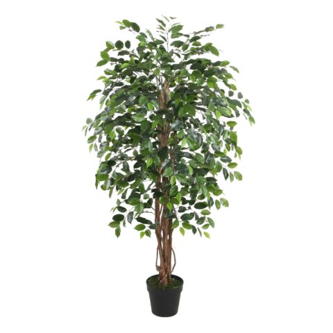 Kunstpuu WIND FICUS H150cm Kunstlilled ja kunsttaimed