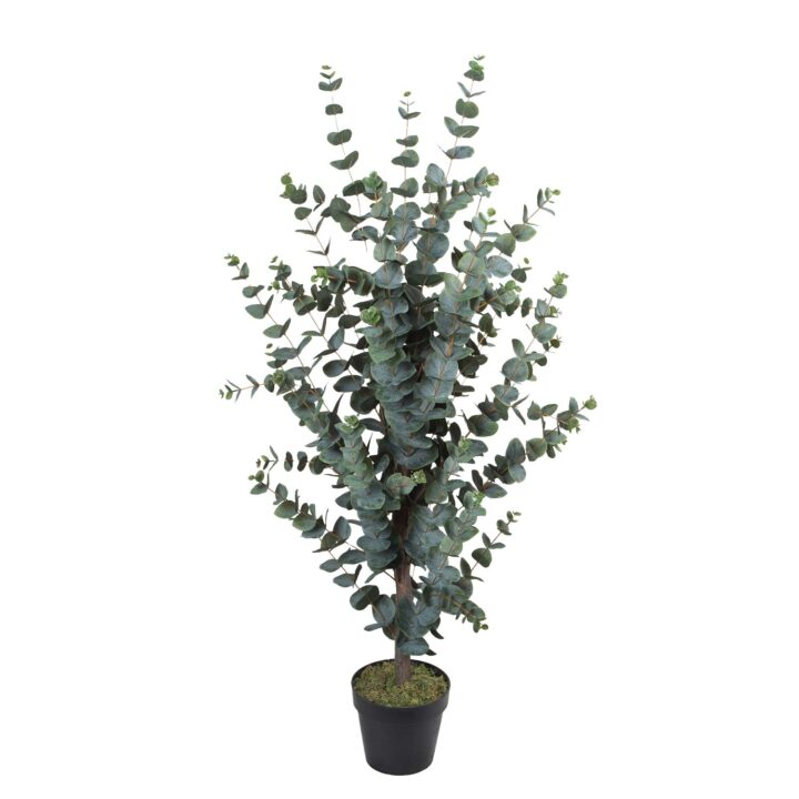 Kunstpuu WIND EUCALYPTUS H120cm Kunstlilled ja kunsttaimed