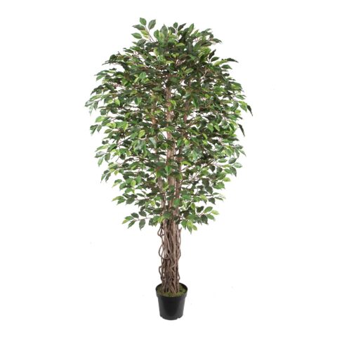 Kunstpuu WIND FICUS H210cm Kunstlilled ja kunsttaimed