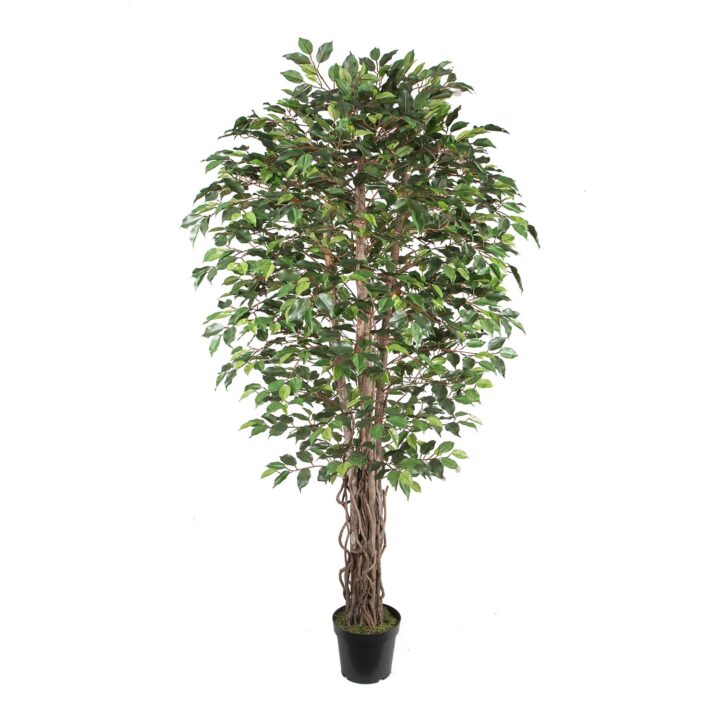 Kunstpuu WIND FICUS H210cm Kunstlilled ja kunsttaimed
