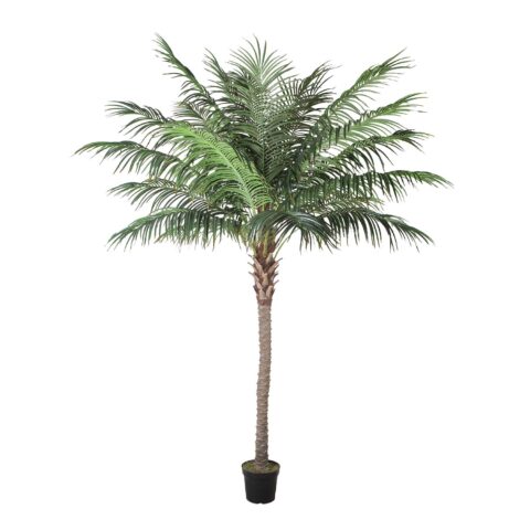 Kunstpuu WIND PALM H260cm Kunstlilled ja kunsttaimed