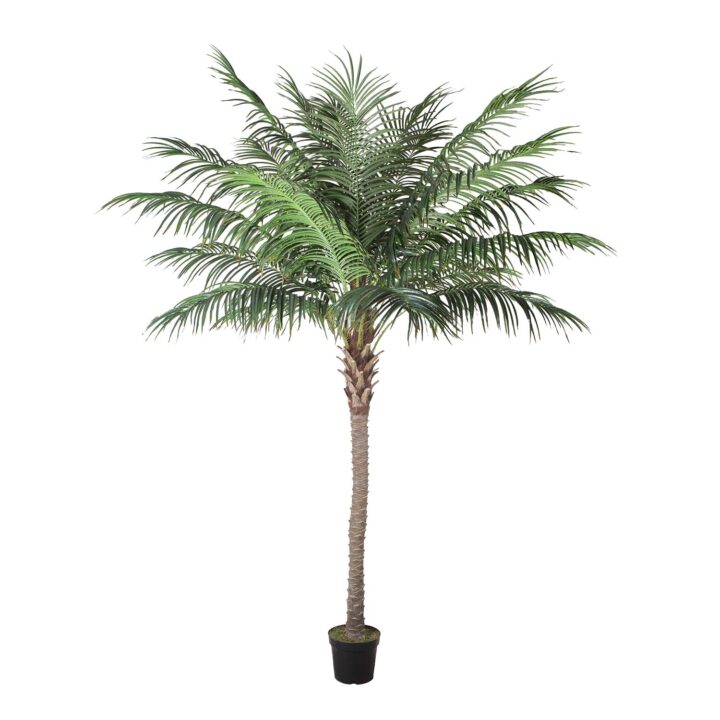 Kunstpuu WIND PALM H260cm Kunstlilled ja kunsttaimed