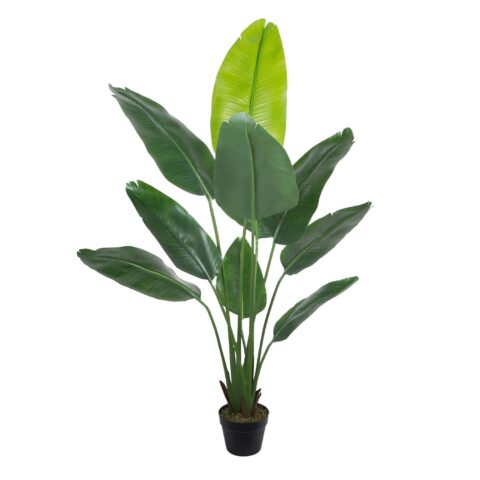 Kunsttaim WIND BIRD OF PARADISE H150cm Kunstlilled ja kunsttaimed