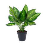 Kunsttaim DIEFFENBACHIA, H45cm, must pott Kunstlilled ja kunsttaimed Kunstlilled ja kunsttaimed