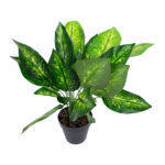 Kunsttaim DIEFFENBACHIA, H45cm, must pott Kunstlilled ja kunsttaimed Kunstlilled ja kunsttaimed