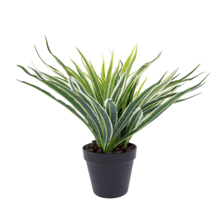 Kunsttaim GREEN GRASS, H30cm, must pott Kunstlilled ja kunsttaimed Kunstlilled ja kunsttaimed