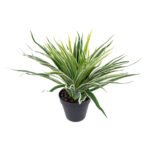 Kunsttaim GREEN GRASS, H30cm, must pott Kunstlilled ja kunsttaimed Kunstlilled ja kunsttaimed