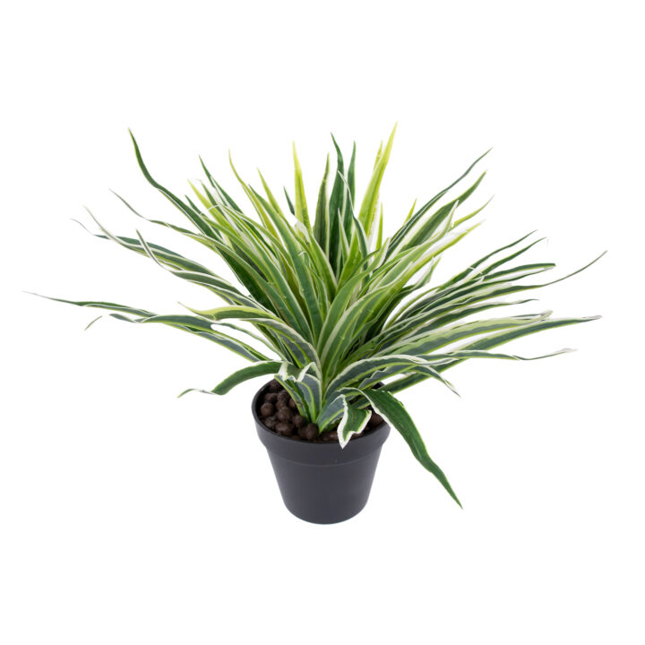 Kunsttaim GREEN GRASS, H30cm, must pott Kunstlilled ja kunsttaimed Kunstlilled ja kunsttaimed
