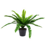 Kunsttaim BOSTON FERN, H60cm, sõnajalg, must pott Kunstlilled ja kunsttaimed Kunstlilled ja kunsttaimed