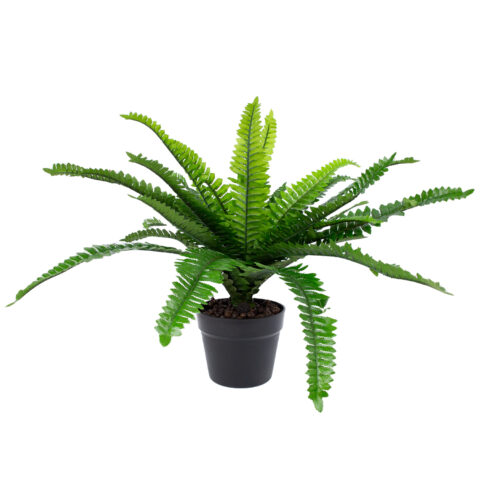 Kunsttaim BOSTON FERN, H60cm, sõnajalg, must pott Kunstlilled ja kunsttaimed Kunstlilled ja kunsttaimed