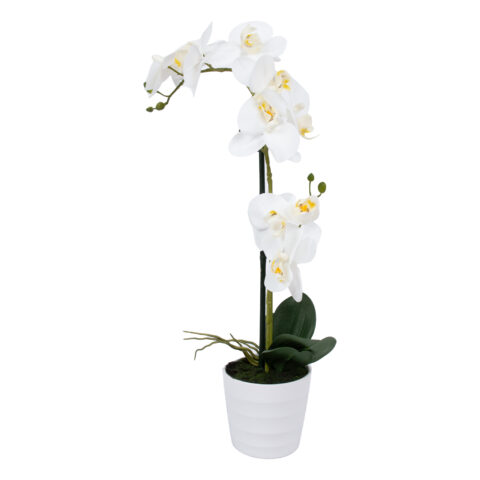 Valge orhidee 2 oksaga IN GARDEN, H51cm, valge pott Kunstlilled ja kunsttaimed Kunstlilled ja kunsttaimed