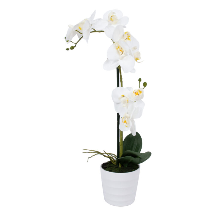 Valge orhidee 2 oksaga IN GARDEN, H51cm, valge pott Kunstlilled ja kunsttaimed Kunstlilled ja kunsttaimed