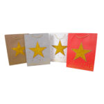 Kinkekott STAR-3, 30x40x12cm, mix Kinkekotid Kinkekotid