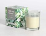 Lõhnaküünal klaasis NATURE GREEN H9,5cm, Evergreen Küünlad Küünlad