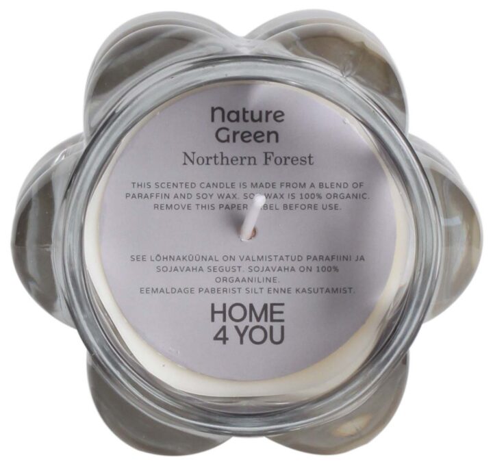 Lõhnaküünal klaasis NATURE GREEN H9,2cm, Northern Forest Küünlad H11-100 Küünlad