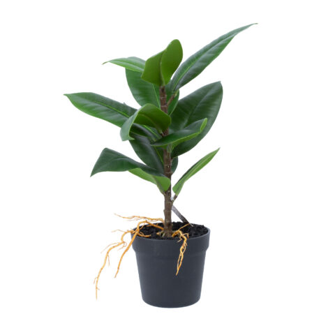 Kunsttaim GREENLAND H35cm, “Rubber fig” Kunstlilled ja kunsttaimed Kunstlilled ja kunsttaimed