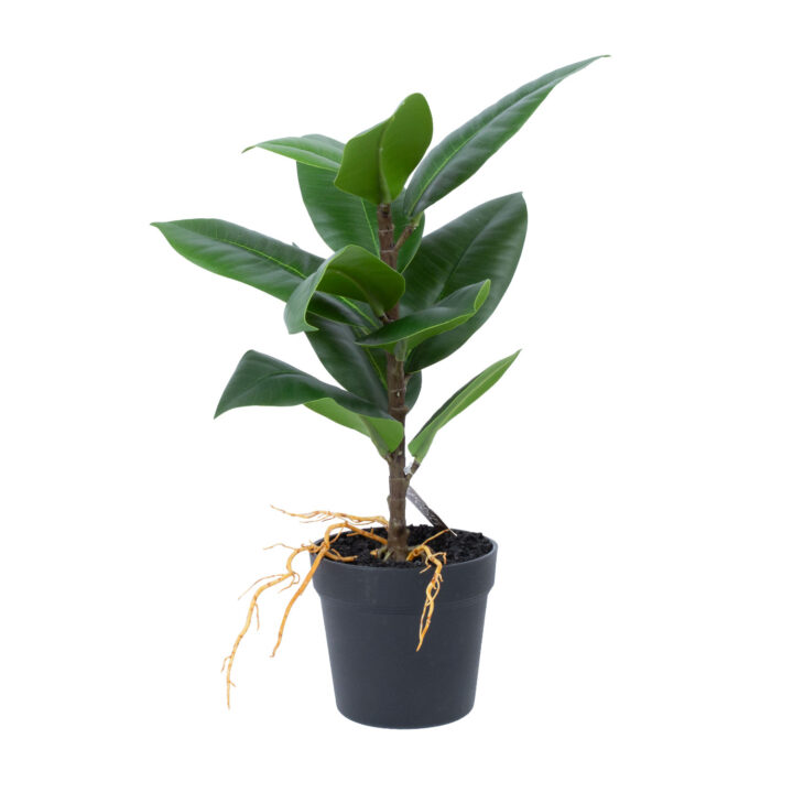 Kunsttaim GREENLAND H35cm, “Rubber fig” Kunstlilled ja kunsttaimed Kunstlilled ja kunsttaimed