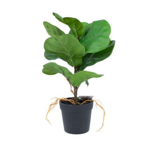 Kunsttaim GREENLAND H35cm, “Clusia rosea” Kunstlilled ja kunsttaimed Kunstlilled ja kunsttaimed