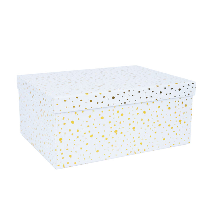 Pappkarp DIANA-2 kaanega 35x27xH15,7cm, valge kuldsete täppidega Kinkekotid Kinkekotid