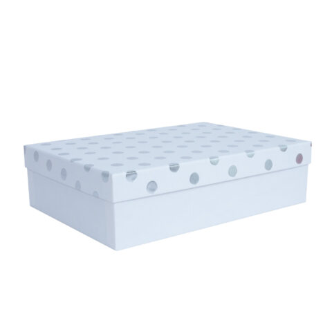 Box ELSA 33×23,5x9cm, with a lid kuld/hõbe, white Kinkekotid