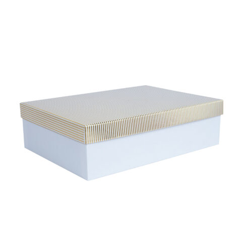 Box ELSA 24,5×17,5x7cm, with a lid kuld/hõbe, white Kinkekotid