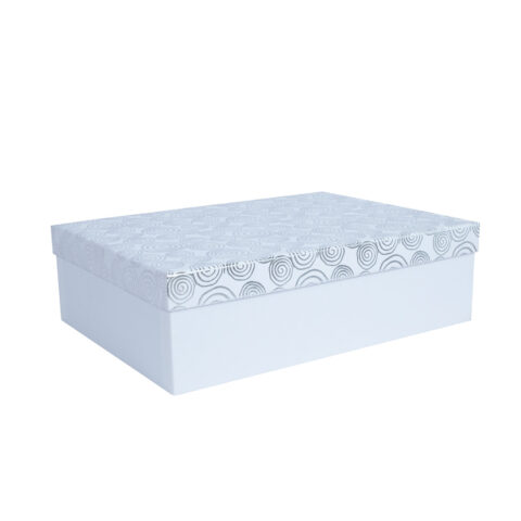 Box ELSA 22x16x6,5cm, with a lid kuld/hõbe, white Kinkekotid