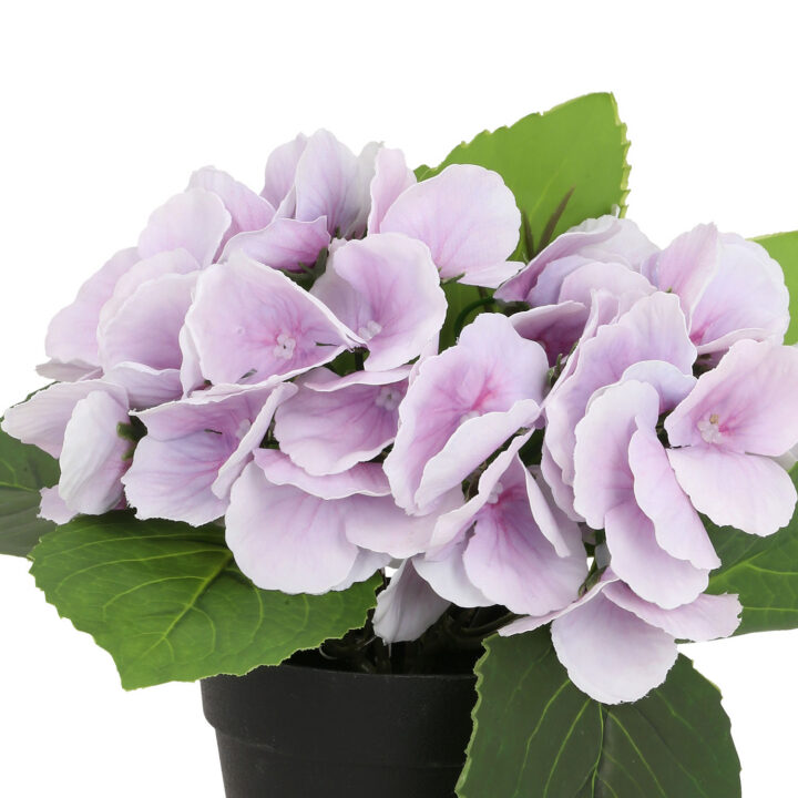 Kunstlill IN GARDEN H18cm, lilla hortensia potis Kunstlilled ja kunsttaimed